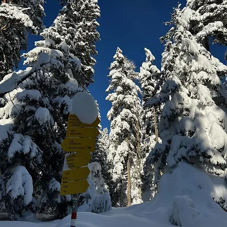 Lynett - Ihr Rueckzugsort In Den Tiroler Bergen Daire Fliess
